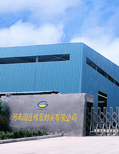 公司综合实力雄厚